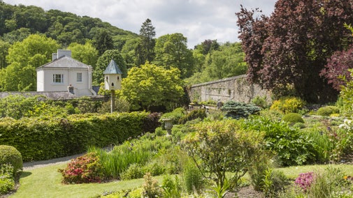A view of the Walled Garden in bloom at Colby Woodland Garden, with part of the wall visible to the right, and beds filled with greenery and flowering plants in the foreground. A white visible and bird table are visible in the image.